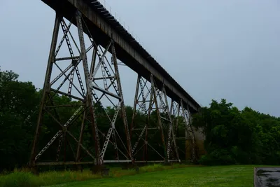 DSC_2204 (Large).JPG